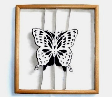 紙布切り絵&立体切り絵「蝶の標本」