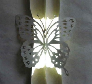 紙布切り絵&立体切り絵「蝶の標本」製作途中の切り絵